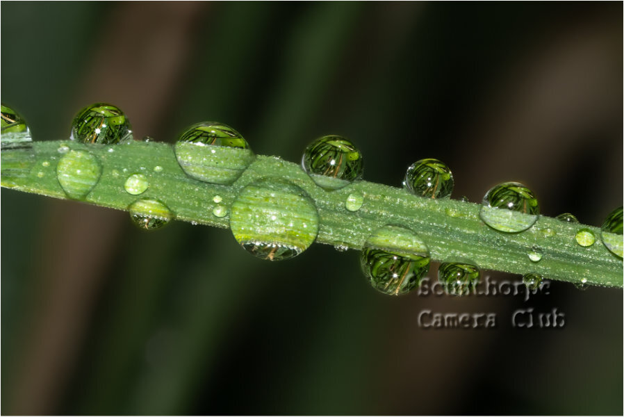  ''Raindrops'' 